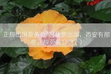 正规出国劳务公司(我想出国，西安有那些正规劳务公司？)