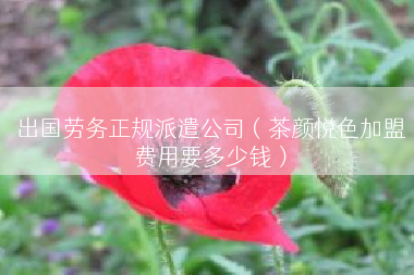 出国劳务正规派遣公司（茶颜悦色加盟费用要多少钱）