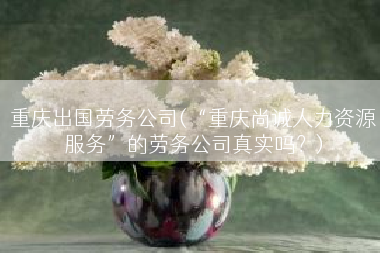 重庆出国劳务公司(“重庆尚诚人力资源服务”的劳务公司真实吗？)