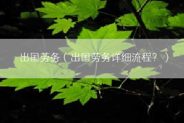 出国劳务（出国劳务详细流程？）