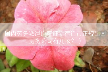 国内劳务派遣许可证（宿迁市正规出国劳务公司有几家？）