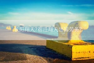 长阳翔天?宿迁翔天出国劳务?