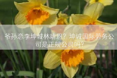 爷孙恋李坤城林靖恩？坤诚国际劳务公司是正规公司吗？