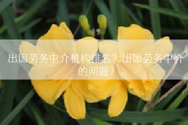 出国劳务中介机构排名？出国劳务中介的问题？