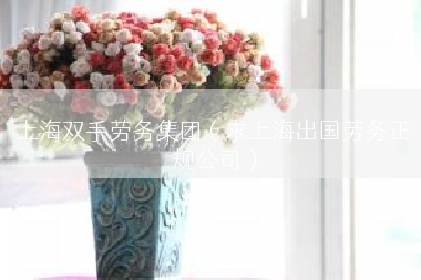 上海双手劳务集团（求上海出国劳务正规公司）