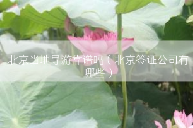 北京当地导游靠谱吗（北京签证公司有哪些）