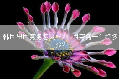 韩国出国劳务怎么样?韩国劳务一年挣多少?