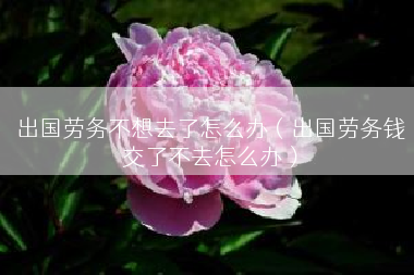出国劳务不想去了怎么办（出国劳务钱交了不去怎么办）