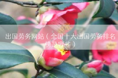 出国劳务网站（全国十大出国劳务排名榜是哪些）