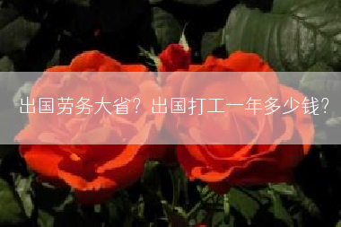出国劳务大省？出国打工一年多少钱？