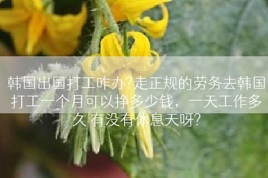 韩国出国打工咋办?走正规的劳务去韩国打工一个月可以挣多少钱，一天工作多久 有没有休息天呀?