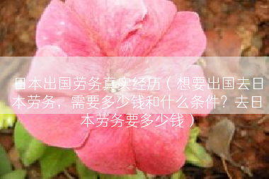 日本出国劳务真实经历（想要出国去日本劳务，需要多少钱和什么条件？去日本劳务要多少钱）