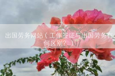 出国劳务网站（工作签证与出国劳务有何区别？）