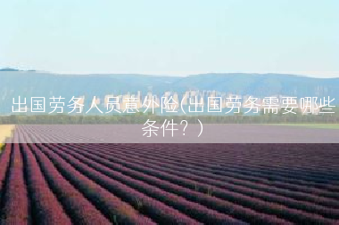 出国劳务人员意外险(出国劳务需要哪些条件？)