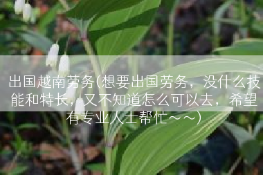 出国越南劳务(想要出国劳务，没什么技能和特长，又不知道怎么可以去，希望有专业人士帮忙～～)