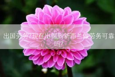 出国劳务?现在出国到新西兰做劳务可靠吗?