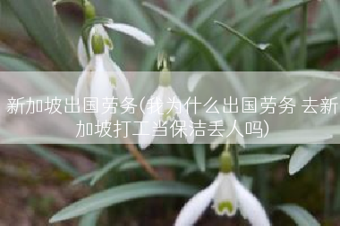 新加坡出国劳务(我为什么出国劳务 去新加坡打工当保洁丢人吗)