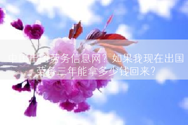 中国出国劳务信息网？如果我现在出国劳务三年能拿多少钱回来？