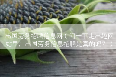 出国劳务招聘信息网（问一下走出趣网站里，出国劳务信息招聘是真的吗？）