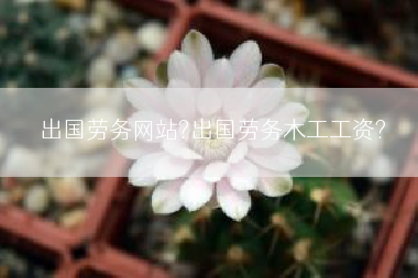 出国劳务网站?出国劳务木工工资?
