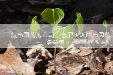 正规出国劳务公司（合肥正规的出国劳务公司）