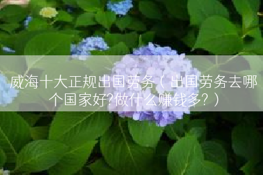 威海十大正规出国劳务（出国劳务去哪个国家好?做什么赚钱多?）