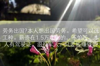 劳务出国?本人想出国劳务。希望可以选工种。薪资在1.5万以上的，不怕苦。本人有驾驶证。退役军人。只要能赚钱就好。?