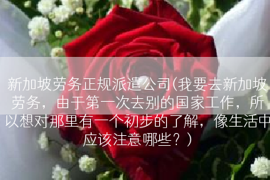 新加坡劳务正规派遣公司(我要去新加坡劳务，由于第一次去别的国家工作，所以想对那里有一个初步的了解，像生活中应该注意哪些？)