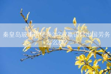 秦皇岛玻璃钢化粪池?双赢国际出国劳务怎么样?