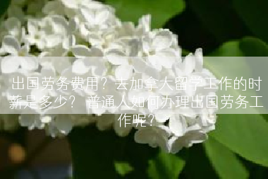 出国劳务费用？去加拿大留学工作的时薪是多少？ 普通人如何办理出国劳务工作呢？
