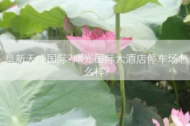 阜新天成国际?曙光国际大酒店停车场怎么样?