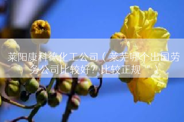 莱阳康科德化工公司（莱芜哪个出国劳务公司比较好？比较正规“）