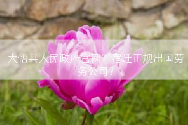 大悟县人民政府官网？宿迁正规出国劳务公司？