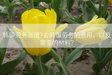 韩国劳务派遣?去韩国劳务的费用，以及需要的材料?
