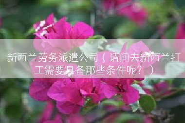 新西兰劳务派遣公司（请问去新西兰打工需要具备那些条件呢？）