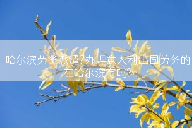 哈尔滨劳务派遣?办理意大利出国劳务的在哈尔滨有吗?