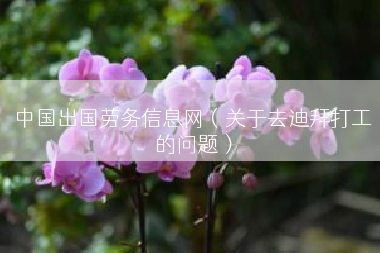 中国出国劳务信息网（关于去迪拜打工的问题）