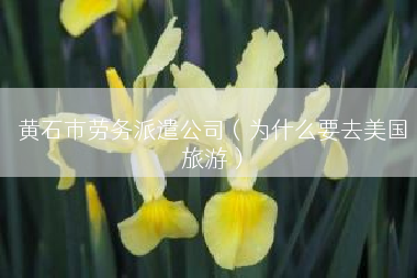 黄石市劳务派遣公司（为什么要去美国旅游）