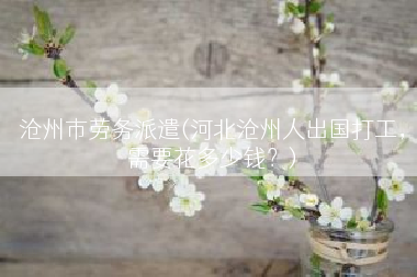 沧州市劳务派遣(河北沧州人出国打工，需要花多少钱？)