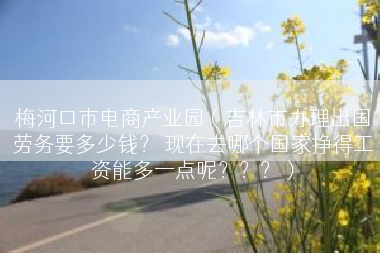 梅河口市电商产业园（吉林市办理出国劳务要多少钱？ 现在去哪个国家挣得工资能多一点呢？？？）