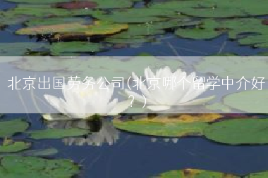 北京出国劳务公司(北京哪个留学中介好？)