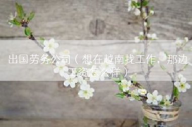 出国劳务公司（想在越南找工作，那边工资怎么样）