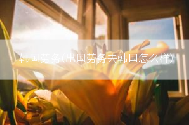 韩国劳务(出国劳务去韩国怎么样)