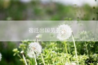 宿迁出国劳务公司