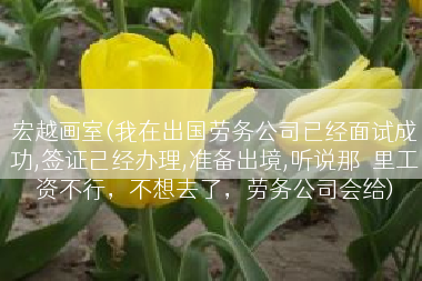 宏越画室(我在出国劳务公司已经面试成功,签证己经办理,准备出境,听说那�里工资不行，不想去了，劳务公司会给)