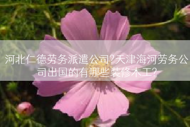 河北仁德劳务派遣公司?天津海河劳务公司出国的有哪些装修木工?