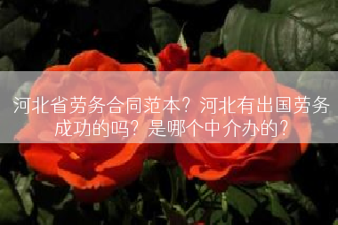 河北省劳务合同范本？河北有出国劳务成功的吗？是哪个中介办的？