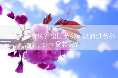 潍坊劳务市场？出国劳务可以通过劳务公司贷款么？