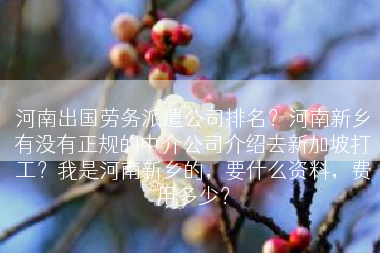 河南出国劳务派遣公司排名？河南新乡有没有正规的中介公司介绍去新加坡打工？我是河南新乡的，要什么资料，费用多少？