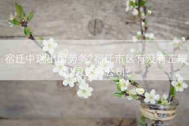 宿迁中瑞出国劳务?宿迁市区有没有正规出国劳务公司?